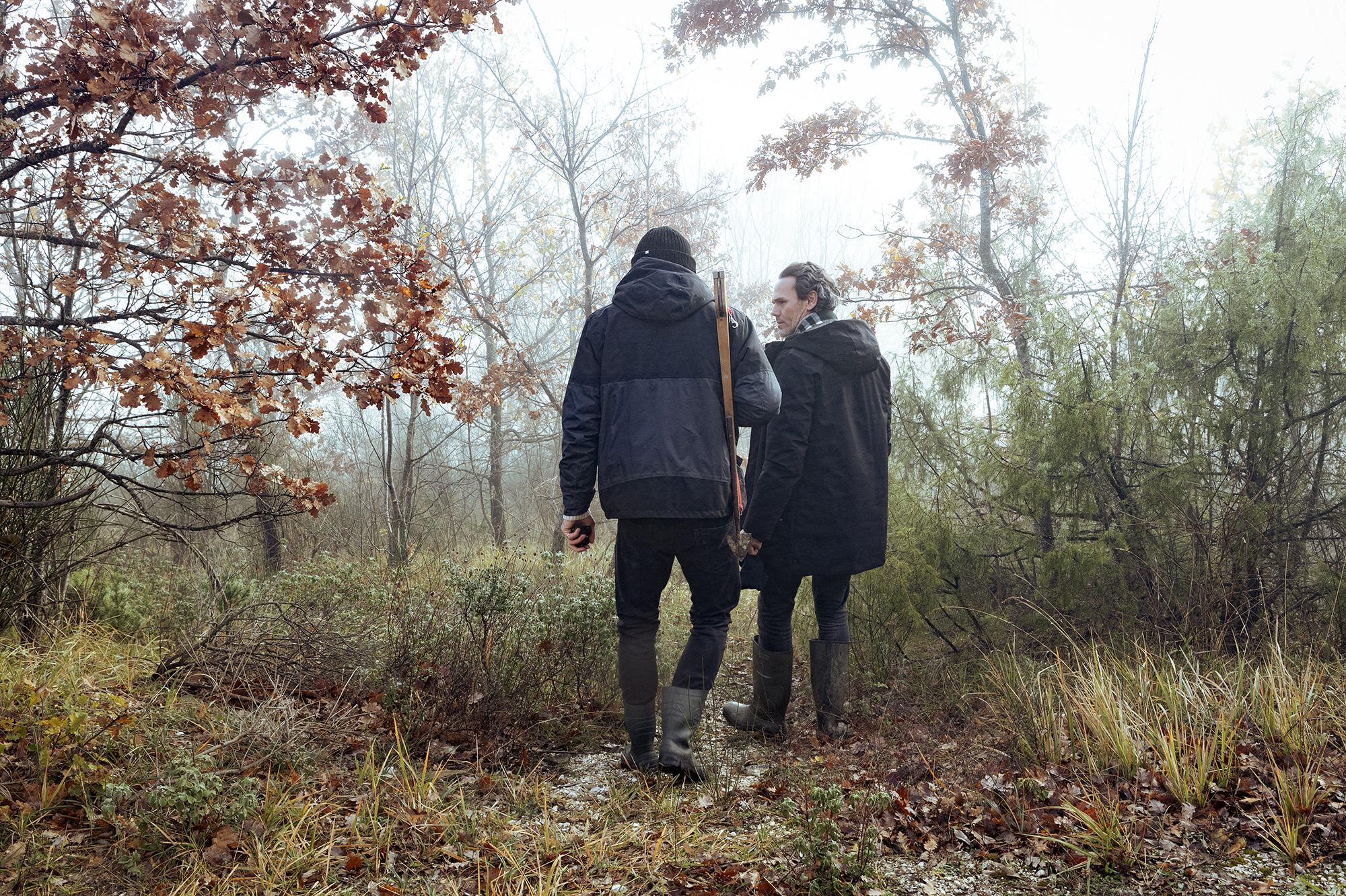 Cavatori nel bosco nebbioso